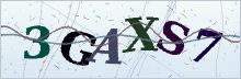 Security code image